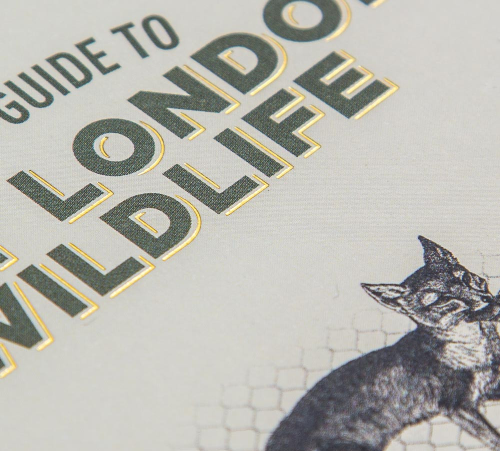 A field guide to East London wildlife